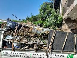  Man, IL Junk Removal Services Pros